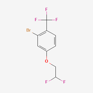 molecular formula C9H6BrF5O B8199509 2-Bromo-4-(2,2-difluoroethoxy)-1-(trifluoromethyl)benzene 