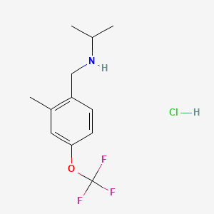 molecular formula C12H17ClF3NO B8199730 N-(2-Methyl-4-(trifluoromethoxy)benzyl)propan-2-amine hydrochloride 