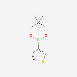 molecular formula C9H13BO2S B8200056 5,5-Dimethyl-2-(thiophen-3-yl)-1,3,2-dioxaborinane 