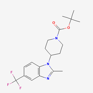 molecular formula C19H24F3N3O2 B8200393 tert-Butyl 4-(2-methyl-5-(trifluoromethyl)-1H-benzo[d]imidazol-1-yl)piperidine-1-carboxylate 