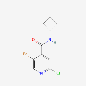 molecular formula C10H10BrClN2O B8201281 5-Bromo-2-chloro-N-cyclobutylisonicotinamide 