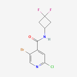 molecular formula C10H8BrClF2N2O B8201287 5-Bromo-2-chloro-N-(3,3-difluorocyclobutyl)isonicotinamide 