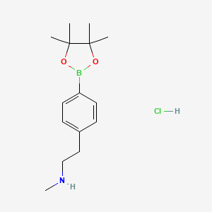molecular formula C15H25BClNO2 B8201309 N-methyl-2-[4-(4,4,5,5-tetramethyl-1,3,2-dioxaborolan-2-yl)phenyl]ethanamine;hydrochloride 