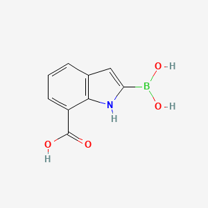 molecular formula C9H8BNO4 B8202413 2-borono-1H-indole-7-carboxylic acid 