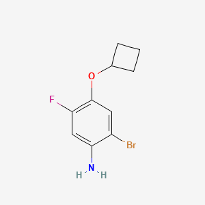 molecular formula C10H11BrFNO B8202422 2-Bromo-4-cyclobutyloxy-5-fluoroaniline 