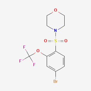 molecular formula C11H11BrF3NO4S B8202683 4-[4-Bromo-2-(trifluoromethoxy)phenyl]sulfonylmorpholine 