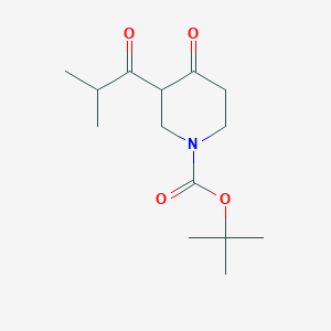 molecular formula C14H23NO4 B8202944 Tert-butyl 3-(2-methylpropanoyl)-4-oxopiperidine-1-carboxylate 