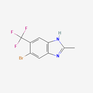 molecular formula C9H6BrF3N2 B8202967 5-bromo-2-methyl-6-(trifluoromethyl)-1H-benzimidazole 