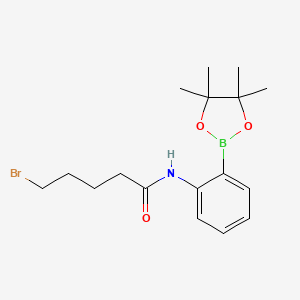molecular formula C17H25BBrNO3 B8203151 5-bromo-N-[2-(4,4,5,5-tetramethyl-1,3,2-dioxaborolan-2-yl)phenyl]pentanamide 