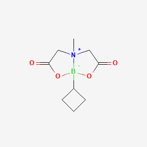 molecular formula C9H14BNO4 B8203676 8-Cyclobutyl-4-methyl-2,6-dioxohexahydro-[1,3,2]oxazaborolo[2,3-b][1,3,2]oxazaborol-4-ium-8-uide 