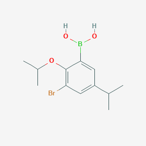 molecular formula C12H18BBrO3 B8204040 (3-Bromo-2-isopropoxy-5-isopropylphenyl)boronic acid 