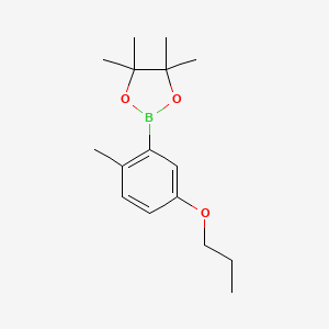 molecular formula C16H25BO3 B8204074 2-Methyl-5-propoxyphenylboronic acid pinacol ester 