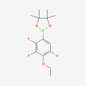 molecular formula C14H18BBrF2O3 B8204135 2-(5-Bromo-2,3-difluoro-4-ethoxyphenyl)-4,4,5,5-tetramethyl-1,3,2-dioxaborolane 