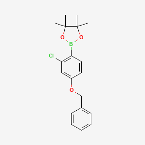molecular formula C19H22BClO3 B8204169 4-Benzyloxy-2-chlorophenylboronic acid pinacol ester 