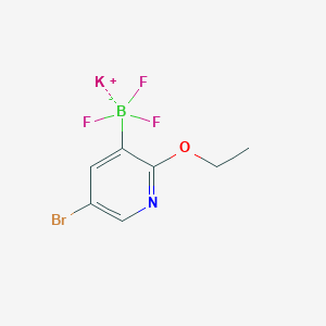 molecular formula C7H7BBrF3KNO B8204246 Potassium 5-bromo-2-ethoxypyridine-3-trifluoroborate 