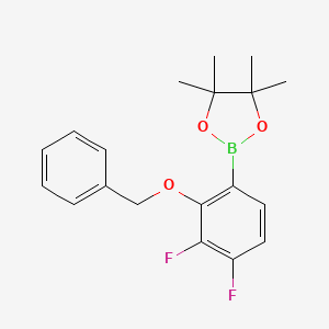 molecular formula C19H21BF2O3 B8204352 2-Benzyloxy-3,4-difluorophenylboronic acid pinacol ester 