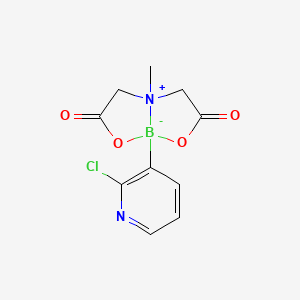 molecular formula C10H10BClN2O4 B8204377 1-(2-Chloropyridin-3-yl)-5-methyl-2,8-dioxa-5-azonia-1-boranuidabicyclo[3.3.0]octane-3,7-dione 
