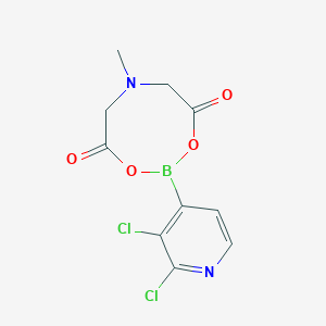 molecular formula C10H9BCl2N2O4 B8204471 2,3-Dichloropyridine-4-boronic acid MIDA ester, 95% 