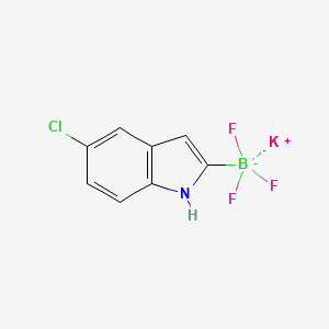molecular formula C8H5BClF3KN B8205172 Potassium (5-chloro-1H-indole)-2-trifluoroborate 