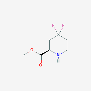 molecular formula C7H11F2NO2 B8205459 Methyl (R)-4,4-difluoropiperidine-2-carboxylate 