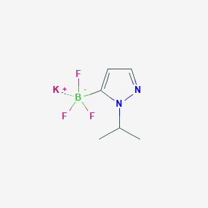 molecular formula C6H9BF3KN2 B8206339 Potassium 1-isopropylpyrazole-5-trifluoroborate 