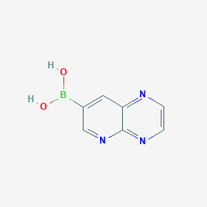 molecular formula C7H6BN3O2 B8206342 Pyrido[2,3-b]pyrazin-7-ylboronic acid 