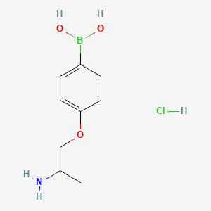 molecular formula C9H15BClNO3 B8206392 [4-(2-Aminopropoxy)phenyl]boronic acid;hydrochloride 