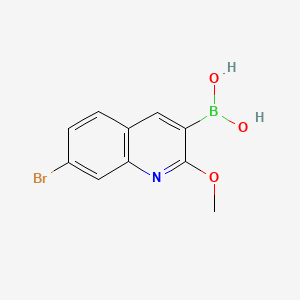 molecular formula C10H9BBrNO3 B8206400 (7-Bromo-2-methoxyquinolin-3-yl)boronic acid 