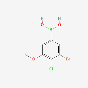 molecular formula C7H7BBrClO3 B8206446 (3-Bromo-4-chloro-5-methoxyphenyl)boronic acid 