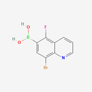 molecular formula C9H6BBrFNO2 B8206487 (8-Bromo-5-fluoroquinolin-6-yl)boronic acid 