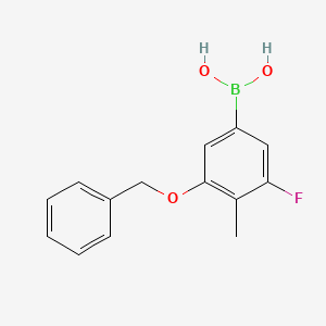 molecular formula C14H14BFO3 B8206512 (3-Fluoro-4-methyl-5-phenylmethoxyphenyl)boronic acid 