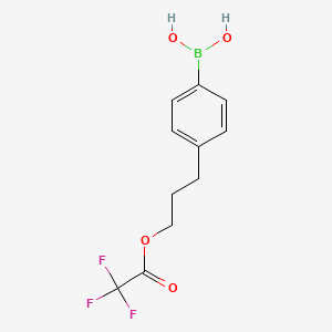 molecular formula C11H12BF3O4 B8206557 [4-[3-(2,2,2-Trifluoroacetyl)oxypropyl]phenyl]boronic acid 