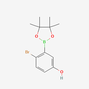 molecular formula C12H16BBrO3 B8206773 2-Bromo-5-hydroxyphenylboronic acid pinacol ester 