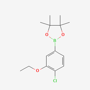 molecular formula C14H20BClO3 B8206804 2-(4-Chloro-3-ethoxyphenyl)-4,4,5,5-tetramethyl-1,3,2-dioxaborolane 