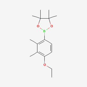 molecular formula C16H25BO3 B8207070 2-(4-Ethoxy-2,3-dimethylphenyl)-4,4,5,5-tetramethyl-1,3,2-dioxaborolane 