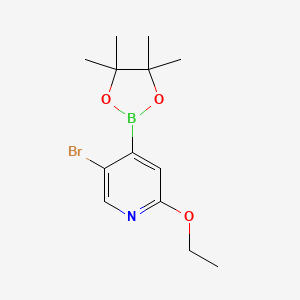 molecular formula C13H19BBrNO3 B8207262 5-Bromo-2-ethoxy-4-(4,4,5,5-tetramethyl-1,3,2-dioxaborolan-2-yl)pyridine 