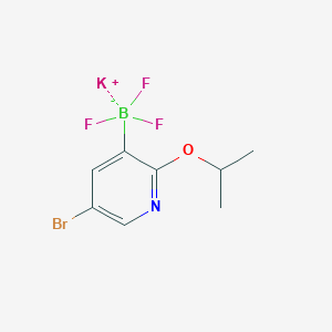 molecular formula C8H9BBrF3KNO B8207473 Potassium 5-bromo-2-(propan-2-yloxy)pyridine-3-trifluoroborate 