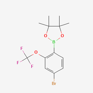 molecular formula C13H15BBrF3O3 B8207480 4-Bromo-2-(trifluoromethoxy)phenylboronic acid pinacol ester 