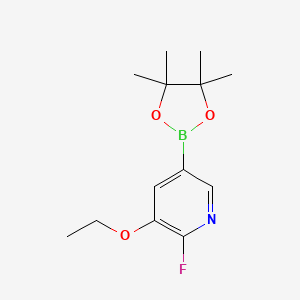 molecular formula C13H19BFNO3 B8208850 2-Fluoro-3-ethoxypyridine-5-boronic acid pinacol ester 
