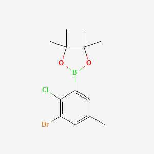 molecular formula C13H17BBrClO2 B8208944 2-(3-Bromo-2-chloro-5-methylphenyl)-4,4,5,5-tetramethyl-1,3,2-dioxaborolane 