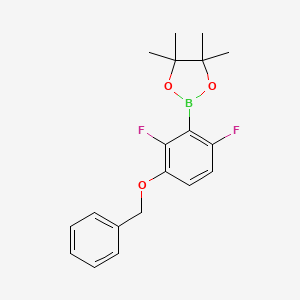 molecular formula C19H21BF2O3 B8209020 3-Benzyloxy-2,6-difluorophenylbornic acid pinacol ester 