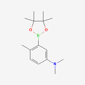 molecular formula C15H24BNO2 B8209065 5-(Dimethylamino)-2-methylphenylboronic acid pinacol ester 