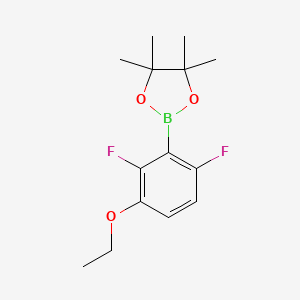 molecular formula C14H19BF2O3 B8209109 2-(3-Ethoxy-2,6-difluorophenyl)-4,4,5,5-tetramethyl-1,3,2-dioxaborolane 