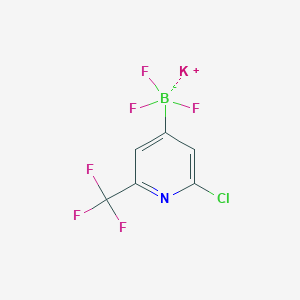 Potassium 2-chloro-6-(trifluoromethyl)pyridine-4-trifluoroborate