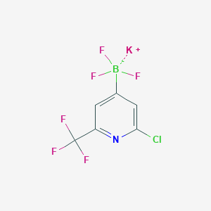 molecular formula C6H2BClF6KN B8209169 Potassium 2-chloro-6-(trifluoromethyl)pyridine-4-trifluoroborate 