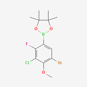 molecular formula C13H16BBrClFO3 B8209232 5-Bromo-3-chloro-2-fluoro-4-methoxyphenylboronic acid pinacol ester 