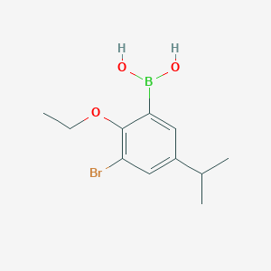 molecular formula C11H16BBrO3 B8209240 (3-Bromo-2-ethoxy-5-isopropylphenyl)boronic acid 