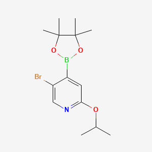 molecular formula C14H21BBrNO3 B8209299 5-Bromo-2-isopropoxy-4-(4,4,5,5-tetramethyl-1,3,2-dioxaborolan-2-yl)pyridine 
