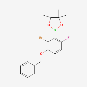 molecular formula C19H21BBrFO3 B8209337 2-(3-(Benzyloxy)-2-bromo-6-fluorophenyl)-4,4,5,5-tetramethyl-1,3,2-dioxaborolane 
