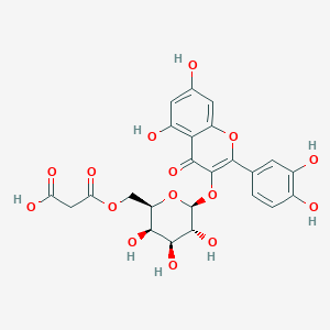 molecular formula C24H22O15 B8209383 槲皮素3-丙二酰半乳糖苷 
